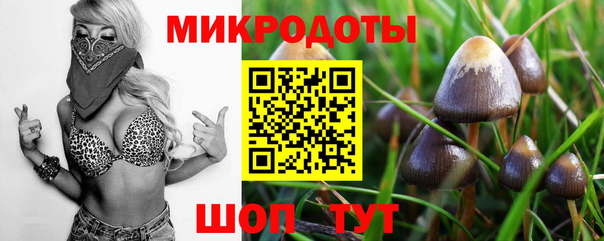Галлюциногенные грибы мухоморы Владимир